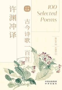 宠物小精灵之萧