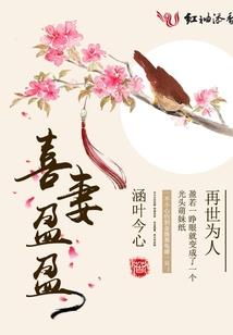零之序曲—灾厄与奇迹