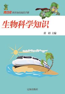 界灵l