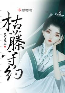 守护者之光